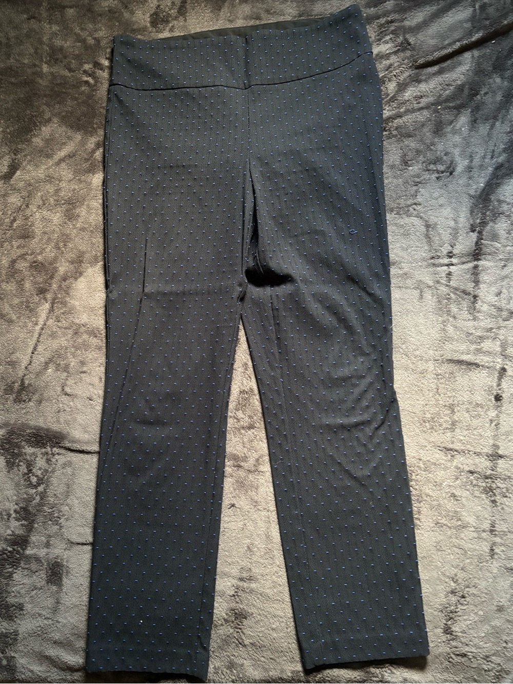 Renuar Black Pants with Blue Dot Texture